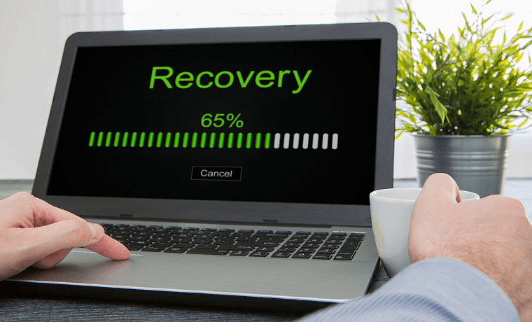 Recenzje o Fields Data Recovery