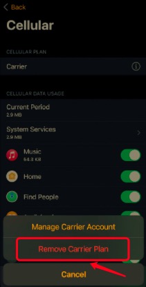 Usuń Apple Watch Carrier za pomocą iPhone'a