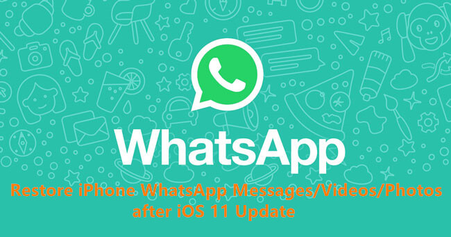 Odzyskaj Whatsapp Images Zdjęcia