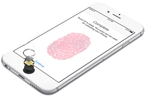 Touch ID Sultions Technology 6