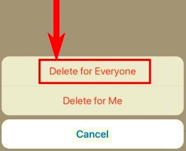 Usuń wiadomości WhatsApp na swoim iPhonie