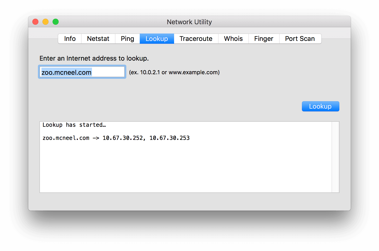 Wyszukiwanie Maca narzędzia sieciowego