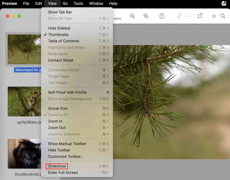 Zrób pokaz slajdów na komputerze Mac bez iPhoto, ale za pomocą aplikacji Preview