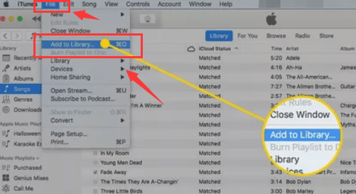 Importuj DVD do iTunes