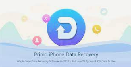 Odzyskiwanie danych Primo iPhone