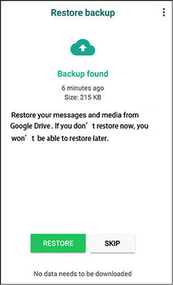 Odzyskaj usunięte pliki PDF z WhatsApp z Dysku Google