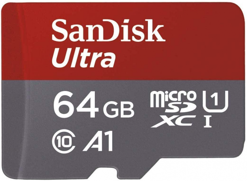 Karta SanDisk SD