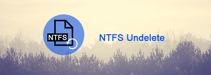 NTFS Undelete