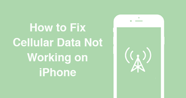 Napraw dane komórkowe, które nie działają na Iphone