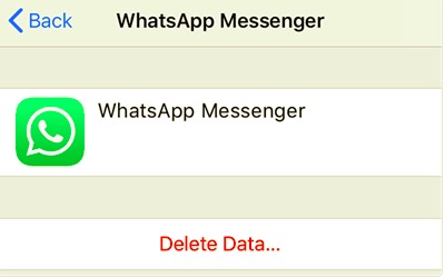Usuń dane WhatsApp iCloud, aby usunąć kopię zapasową WhatsApp