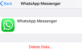Usuwanie danych kopii zapasowej WhatsApp iCloud